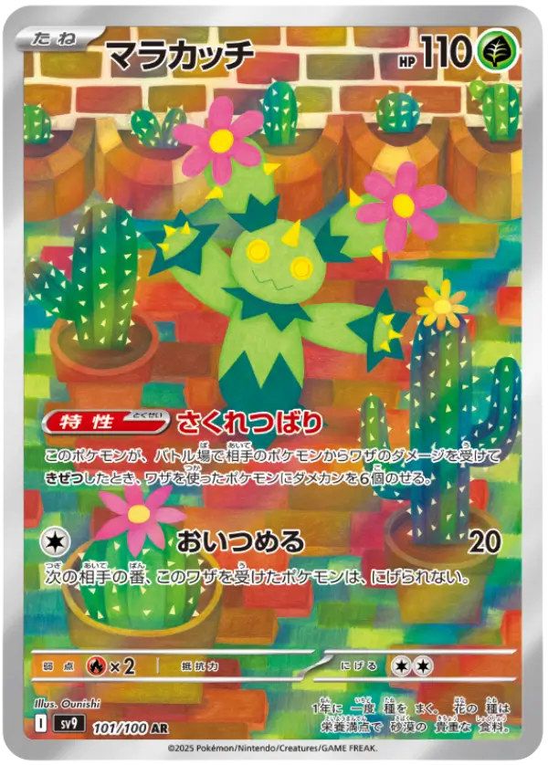 マラカッチAR